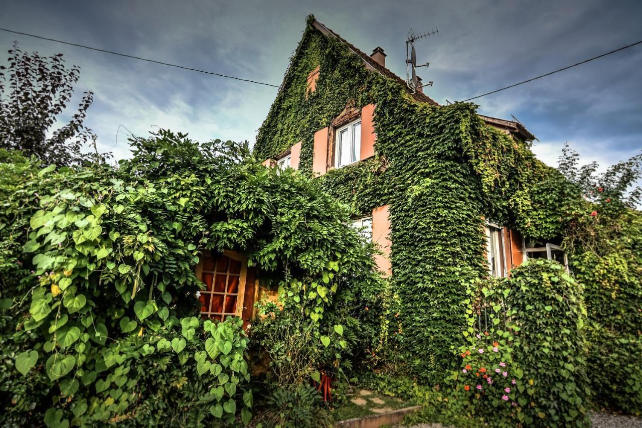 ❊ Au Murmure De L'Eau Au Coeur De L'Alsace ❊ Villa Ebersheim Dış mekan fotoğraf